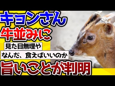 【2ch動物スレ】関東で大量発生した「キョン」って結構おいしいらしい！→牛よりも旨いかもね。 #生き物 #動物