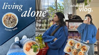 living alone diaries 🧸 | grocery shopping + haul, cooking, running errands