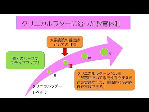 看護部ラダー、役割研修計画