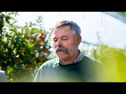 Foodnetz Lebensmittelnetzwerk Imagefilm | Malix