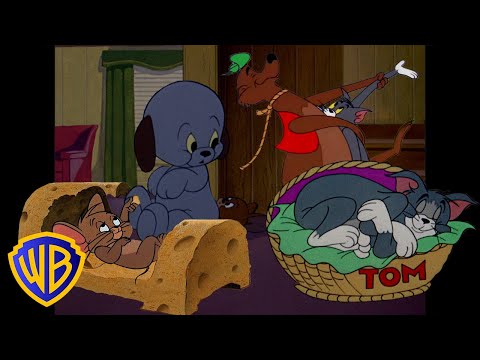 Tom y Jerry en Latino | Días acogedores con Tom y Jerry 🍁 | @WBKidsLatino