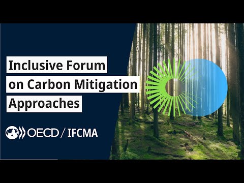 Challenges of the Inclusive Forum on Carbon Mitigation Approaches (IFCMA)