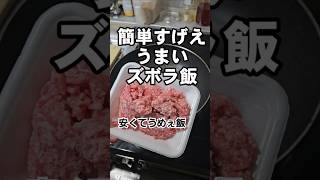 うひょーすげぇズボラ！てきとーがうまい！豚挽き肉と卵の簡単節約丼レシピ