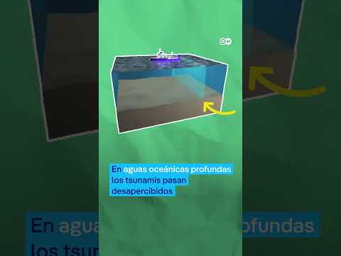 Los tsunamis son poco frecuentes, pero pueden causar destrucción masiva