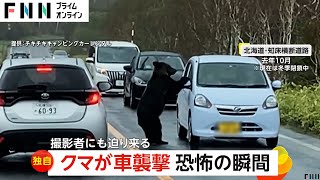 「わー来た来た来た」恐怖！巨体ヒグマが車を襲撃　ボンネットに乗り上げサイドミラーへし折り…クラクションにも動じず　北海道・知床横断道路