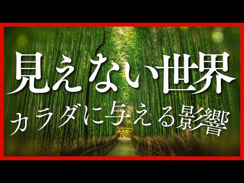 “見えない世界”がカラダに与える影響とは？｜則本純佑