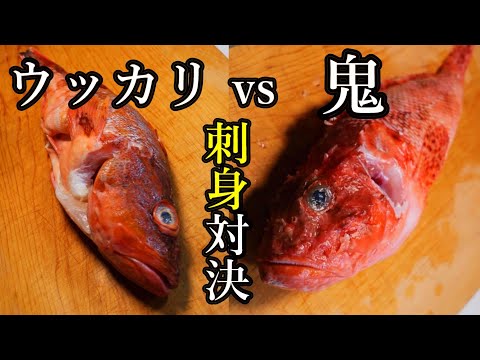 高級カサゴ２種類の刺身食べ比べ　ウッカリと鬼どちらが美味いのか？