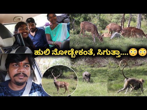 Free Forest Safari ಆಯ್ತು...🥰 | Bandipura Tiger Reserve Forest | Likhith Shetty Vlogs |