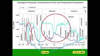 Exploring the Complex Relationship Between CO2 and Climate Over Half a Billion Years