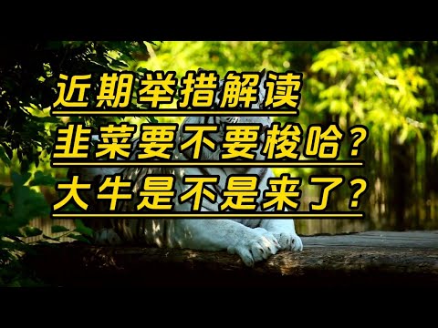 近期政策解读，韭菜要不要梭哈，牛市是不是来了，经济会不会好转 #政策金利 #股市 #投资