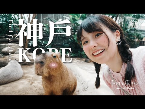 一個人遊關西🇯🇵｜神戶動物王國：尋找水豚君之旅！🐿️｜平價神戶牛鐵板燒🥩Steakland｜打卡小眾文青的購物街區🛍️Tor Road/Tor West～｜Solo Trip to Kobe