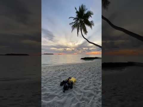 Moments at the Beach at Conrad Maldives Rangali Island