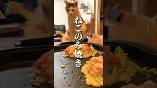 vol.245pv お好み焼きならぬ  #猫 #ねこ #料理 #japanese #japanesehomecooking #shorts