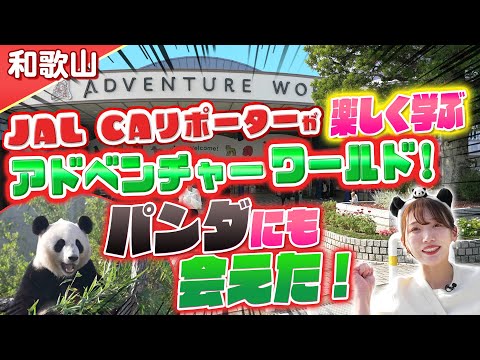 【和歌山】JAL CAリポーターが楽しく学ぶアドベンチャーワールド！パンダにも会えた！