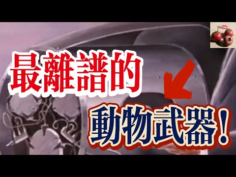 【億點歷史】二戰時期的獵奇武器！鴿子導彈只為了導航！【有億思】#歷史 #獵奇 #科普