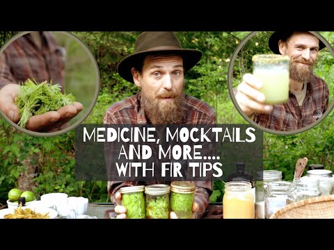 Medicine, Mocktails, and More... With Fir Tips