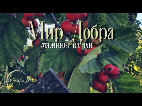 "Мир добра" песня © мамины стихи