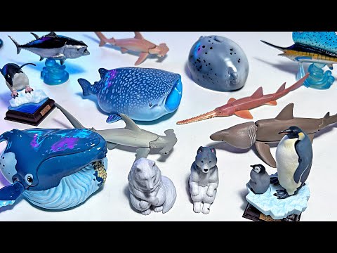 Japan Gashapon Sea Animals - Shark, Whale, Sawfish, Hammerhead, Megamouth, Sailfish, Penguin, Tuna