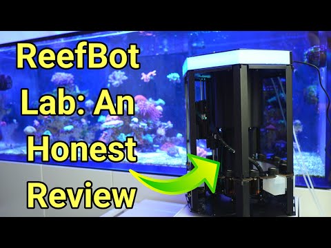 ReefBot Lab: A Quirky, Niche Automatic Tester.