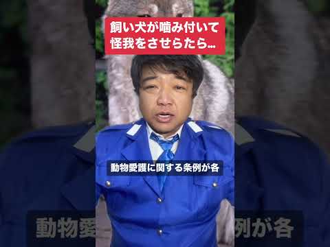 飼い犬が逃げ出して噛み付いて怪我をさせたら… #警察 #動物愛護