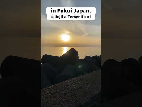 Japan trip!!Do you know Fukui?? #shorts #fishing #japanfishing #釣り #fishinglife #enjoybjjlife