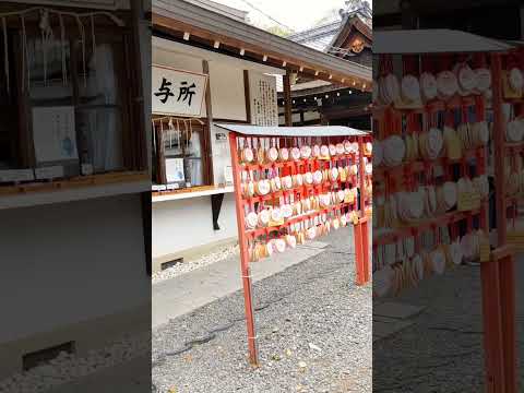 Hirano-jinja Shrine, Kyoto🇯🇵 #japantrip #japantravel  #kyototrip #kyototemple#japanphoto  #shorts