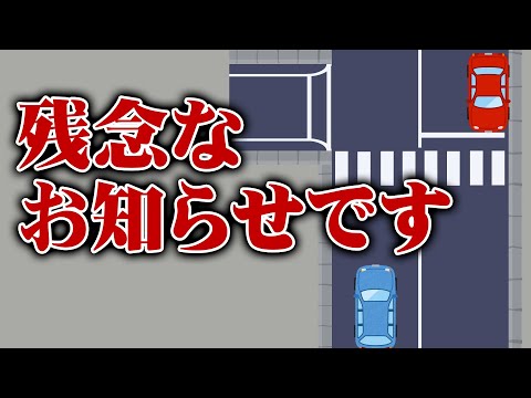 【歩行者妨害】警視庁と新たな闘いが始まりました3