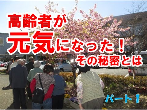 歩行訓練と脳機能訓練で高齢者が元気になった！パート１