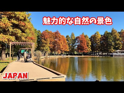 [4k] 東京: 魅力的な秋の景色 || Charming Autumn View || Walking Tour || Tokyo Japan ||