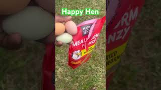 Happy Hen Mealworm for backyard Hens #backyardhens #hens #Fresheggs