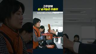 고추장에 삼 숨겨놓은 아줌마 #공모자들