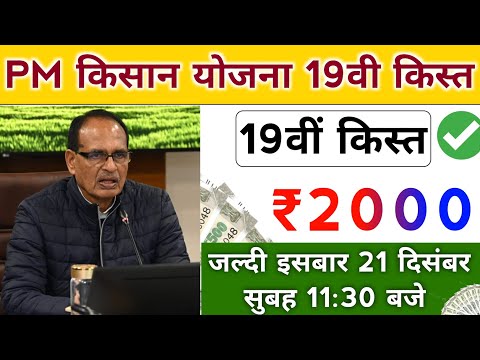 pm kisan yojana 19th installment date 2024। pm kisan next installment date 2024। pm kisan yojana