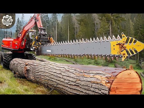 CRAZY Dangerous And Powerful Wood and Forestry Machines: Heavy-Duty Equipment!