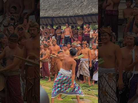 バリ島トゥガナン村の奇祭ムカレカレ #バリ島