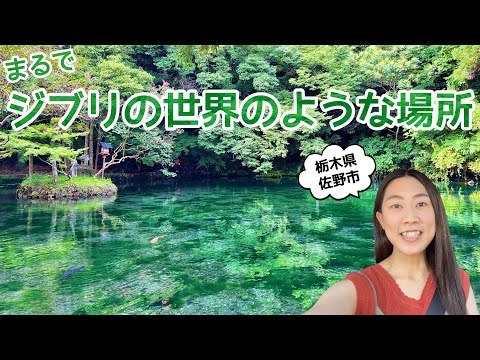 【栃木県 佐野市】まるでジブリの世界に出てきそうな場所〜出流原弁天池・磯山弁財天〜【転勤旅日記】