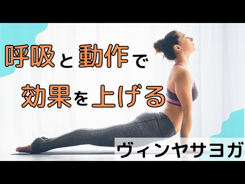 【ヨガ】呼吸と動作を意識して効果を上げるヴィンヤサヨガ！！