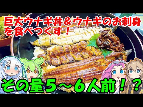 [デカ盛り]巨大横綱うなぎをランチで[爆食い]