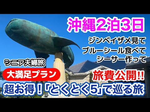 【沖縄旅行】初めてにしては上出来！美ら海水族館+4施設巡れた♪大満足プラン／シニア夫婦旅