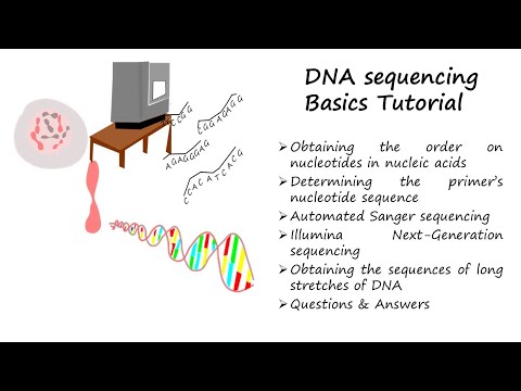 DNA sequencing (Automated Sanger and Illumina Next-generation) Tutorial #molecular biology #DNA