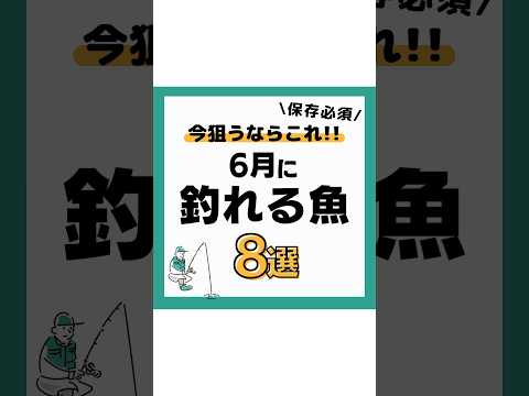 6月に釣れる魚8選‼️ #釣り#海釣り#魚釣り#釣り初心者 #釣り好きな人と繋がりたい#ルアーフィッシング#ルアー釣り#釣り好き#釣り人#釣りスタグラム#アジ#シーバス VOICEVOX:春日部つむぎ