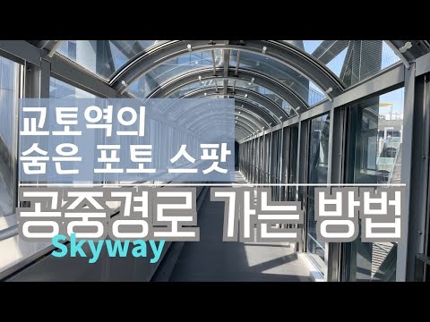 【교토역 추천】교토역 중앙 개찰구→공중경로