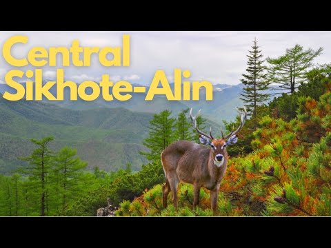 Exploring the Untamed Beauty of Central Sikhote-Alin