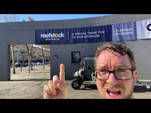 Reefstock Australia - Live stream setup day