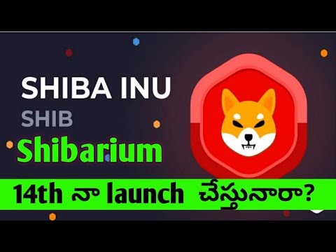 shiba inu latest updates/ will shibarium launch on 14th Feb? / shib updates in telugu