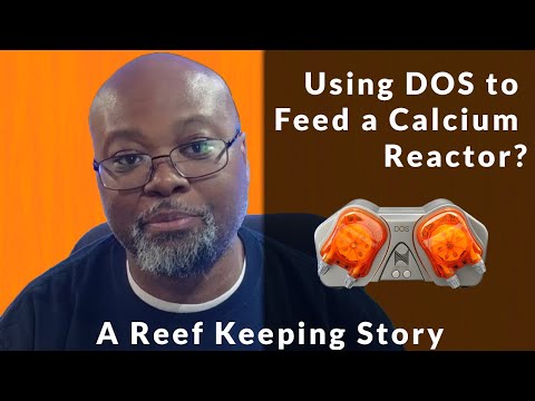 My Calcium Reactor/DOS Story