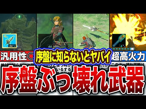 【ティアキン】攻略が超簡単になる！？序盤ぶっ壊れ武器まとめ！！【ゼルダの伝説　ティアーズオブザキングダム】