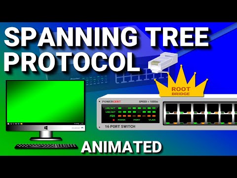 Spanning Tree Protocol | CCNA - Explained