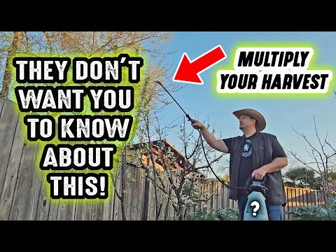 They DON"T WANT YOU TO KNOW this secret GARDENING HACK that will change the way you garden FOREVER!!