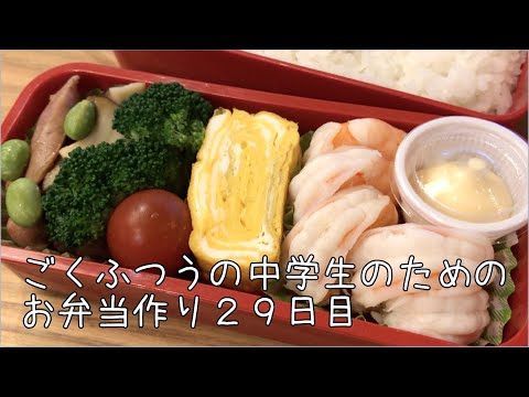 29日目♫ごく普通の中学生のためのお弁当づくり♫あっさり茹でエビ弁当♫