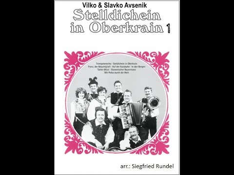 Stelldichein in Oberkrain 1 -  Vilko & Slavko  Avsenik (A*)